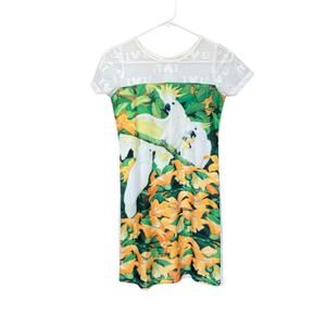 Zara Basic Dress Birds Flowers